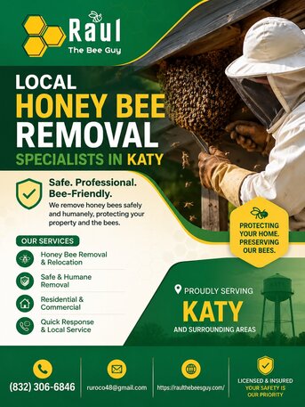 New York, Pest Control, Local Honey Bee Removal Specialists In Katy