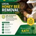 Local Honey Bee Removal Specialists In Katy
