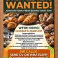 Urgently Looking For Bakery Cleaner