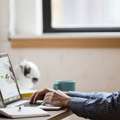 Custom Ruby On Rails Development Company For Fast & Secure Web Solutions