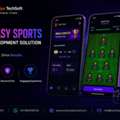 Fantasy Sports App Development | Cricket, Football & Daily Fantasy Solutions