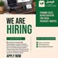 Marketing & Sales Executive