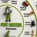 ×=×PROFESSIONAL PAKISTANI ALL TYPES PEST CONTROL SOLUTION*WITH GUARANTEED 6MONTHS/%/