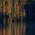 Sandoval Lake 3 Day Tour & Chuncho Macaw Clay Lick Tour | Tree House Inn