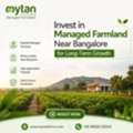 INR 0,  Top Managed Farmland Near Bangalore For Long-Term Growth