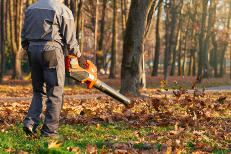New York, Cleaning, Best Leaf Removal Roanoke | RC Lawn Care