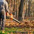 Best Leaf Removal Roanoke | RC Lawn Care