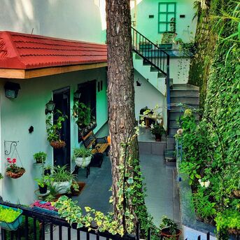 New Delhi, Holiday/Vacation Rentals, INR 7000/day,  6 BR,  Premium Homestay In Kasauli & Holiday Home Near Barog Hills