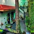 INR 7000/day,  6 BR,  Premium Homestay In Kasauli & Holiday Home Near Barog Hills