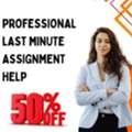 Professional Last Minute Assignment Help With 50% Off Offer