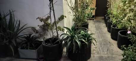 Gudaibiya, Bedspace For Rent, BHD 50/month,  Bed Space For 50BD With Unlimited EWA - Full Furnished