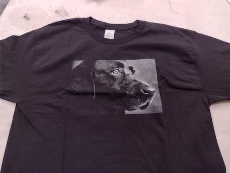 New York, Clothing & Accessories, USD 25,  Custom T-Shirts In Idaho | The Frog Prints