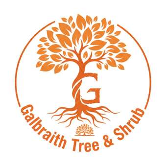 New York, Business, Expert Arborist Geneseo NY For Professional Tree Care
