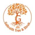 Expert Arborist Geneseo NY For Professional Tree Care
