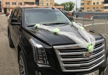 Chicago, Automotive, Teslux Transportation LLC