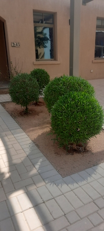 Riyadh, Job Seekers, Gardener/landscaping