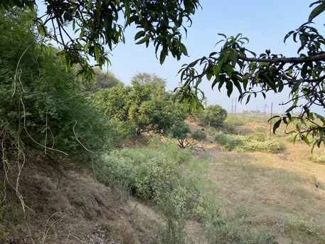 Mumbai, Agricultural Land, INR 35000000,  1 Acre,  One Acre Agricultural Land For Sale