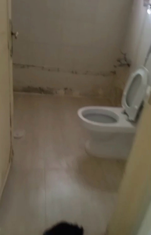 Al Urayja, Apartments, Flats, Houses & Villas, SAR 21000/year,  2 BR,  Flat For Rent