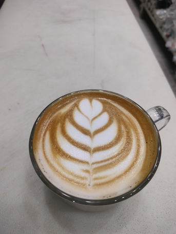 Riyadh, Job Seekers, Barista