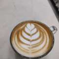 Barista