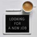 Pakistani - Looking Job