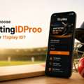 11xplay &ndash; Get Your 11xplay ID With Trusted Service Provider BettingIDProo
