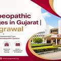 Top Homoeopathic Colleges In Gujarat | S S Agrawal