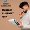 Professional Sociology Assignment Help For Academic Success