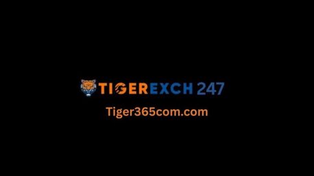 Kabul, Sporting Goods, Tips For Time Management While Playing On Tigerexch247