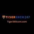 Tips For Time Management While Playing On Tigerexch247