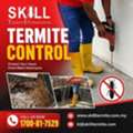 Trusted Termite Control Experts For Safer Homes In KL