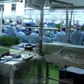 INR 1,  Warning Triangle Manufacturer
