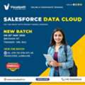 New Batch: Salesforce Data Cloud Online Training &ndash; Join Now!