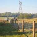 Is Your Current Farm Fence Strong Enough To Protect Your Livestock?