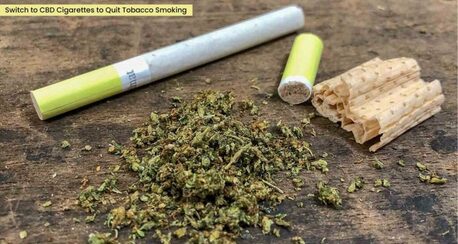 Houston, Free Items, USD 20,  What Are The Best THCA Flower Strains Available Right Now