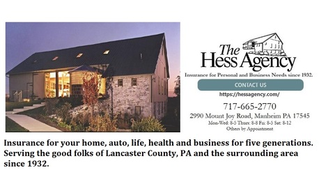 New York, Financial, Life Insurance Service In Manheim PA
