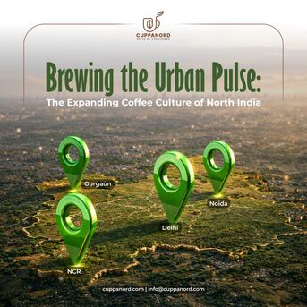 Noida, Business, Coffee Culture Of North India: Why Are Tea And Coffee Lovers Choosing Cuppanord