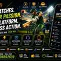 Spinjeet &ndash; Strengthening Digital Entertainment Innovation