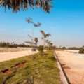 INR 35000,  1500 Sq. Yard,  HMDA RERA Approved Plots In Inside ORR Behind Wonderla