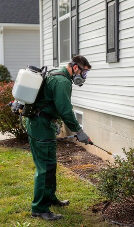 New York, Pest Control, Razar Ant Kill
