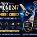 Trusted Cricket ID Provider For IPL Fans