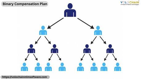 Noida, Software Development, Build Better Business With Binary Compensation Plan Profit Growth