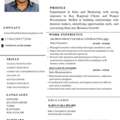 SENIOR SALES EXECUTIVE HAVE EXPERIENCE AND CLIENT RELATIONSHIP IS GOOD