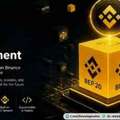 Launch Your BEP20 Token In Just 7 Days For Only $2500!