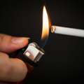 Order Online Native Cigarettes &ndash; Reliable Nationwide Delivery
