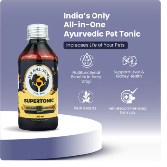 Gurgaon, Pet Sitting, Battery Low&mdash; Your Dog (If They Could Text You)