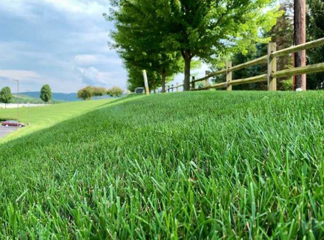 New York, Business, EarthCraft Landscaping