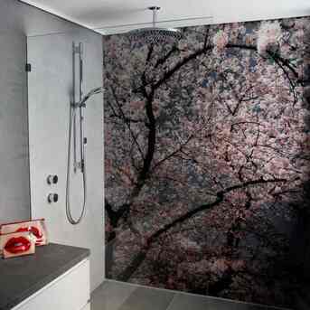 Sydney, Household, Modern Glass Shower Screens In Northern Beaches