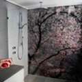 Modern Glass Shower Screens In Northern Beaches