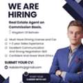 Real Estate Agent